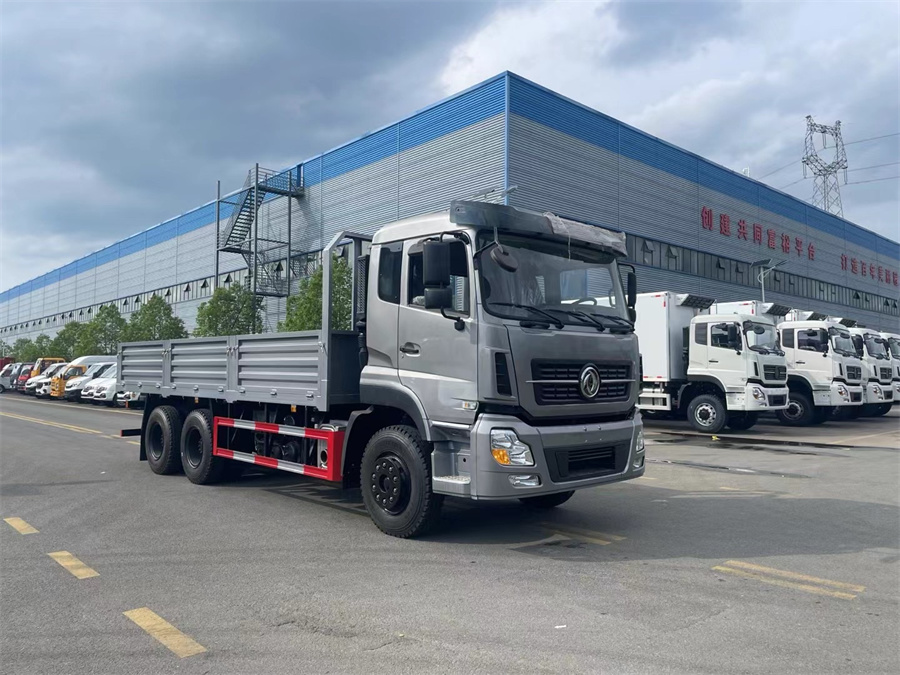 東風(fēng)天龍低欄車(chē)